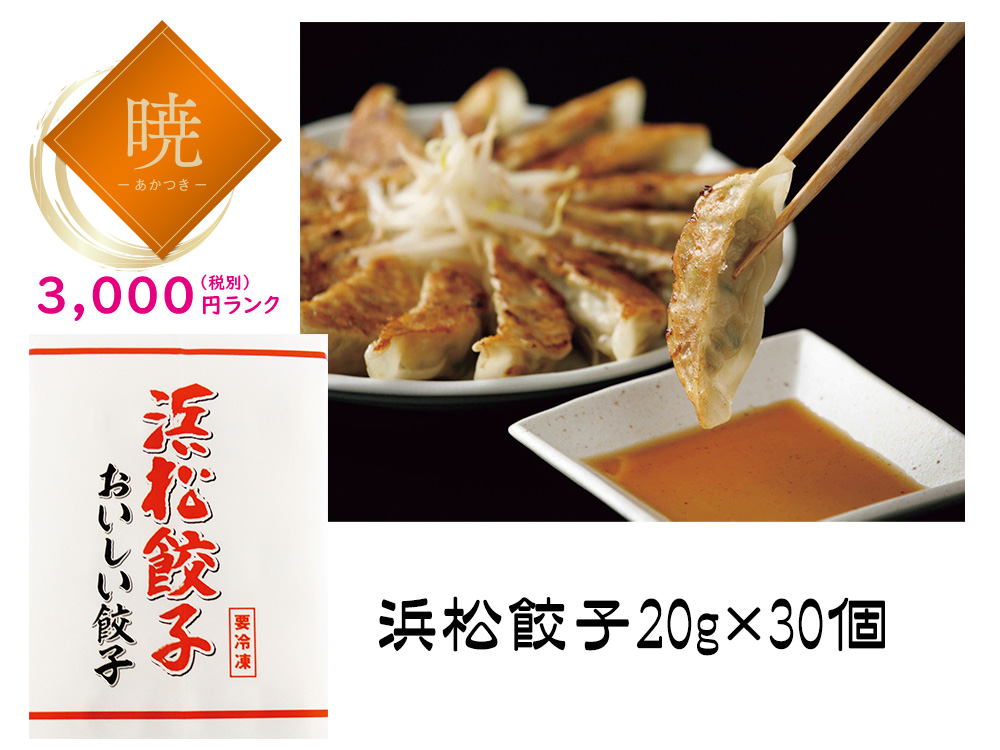 【暁】特選浜松餃子