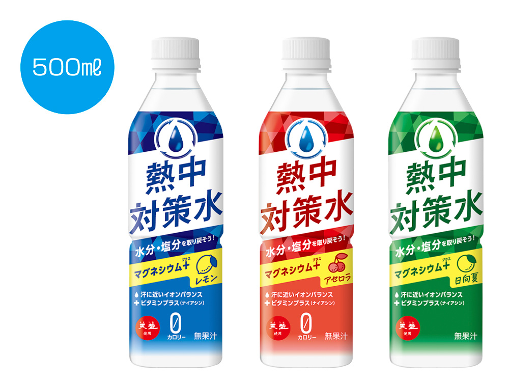 天塩使用 熱中対策水(500ml) 1本