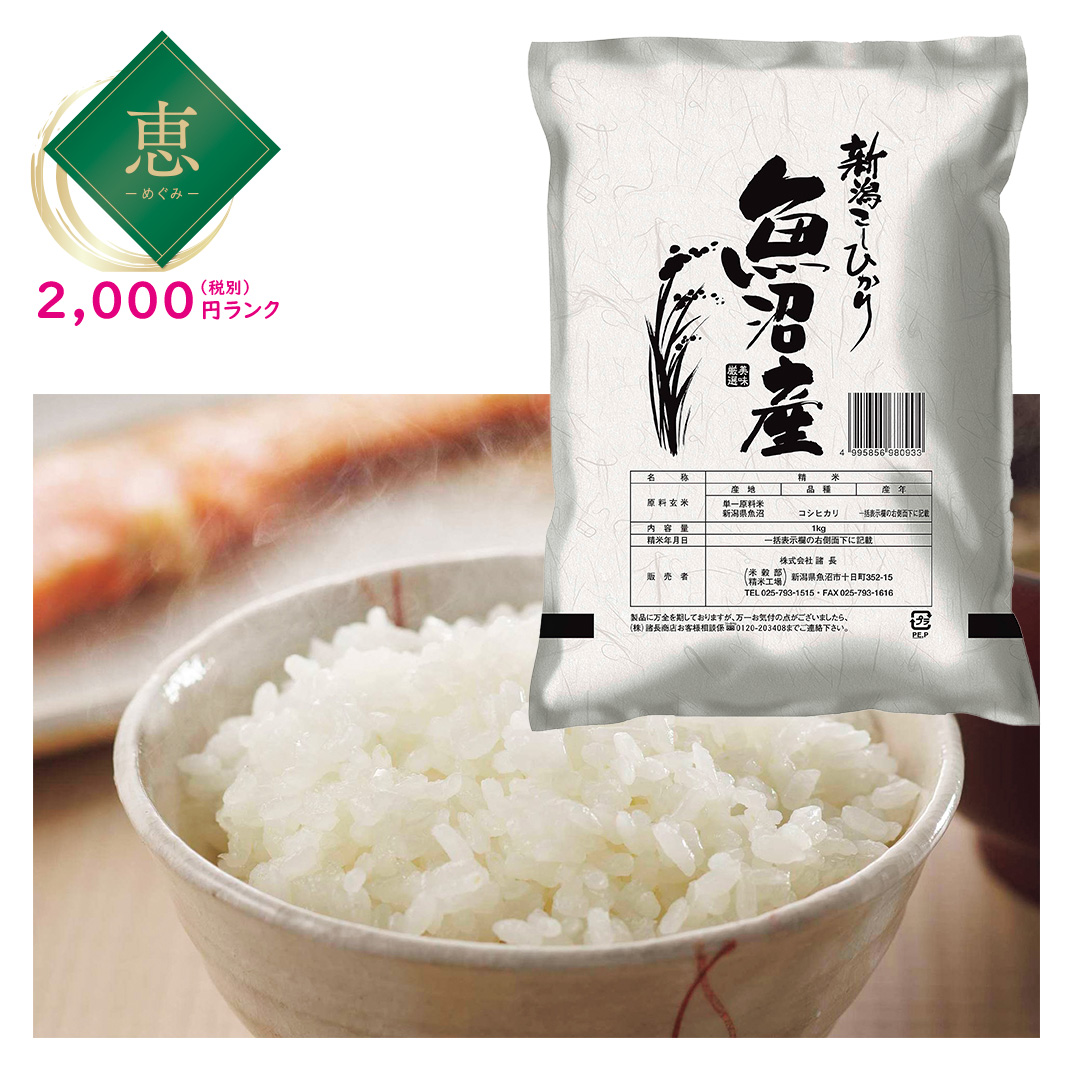 【恵】魚沼産こしひかり