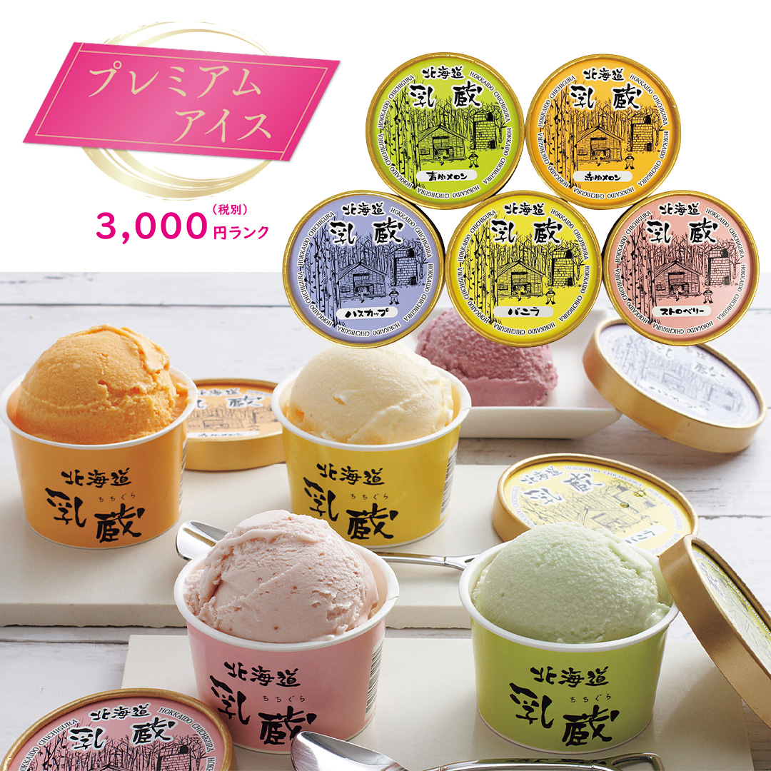【プレミアムアイス】北海道「乳蔵」アイスクリーム
