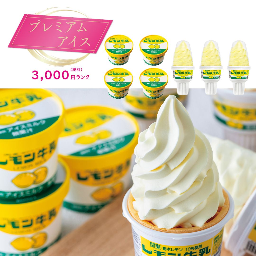 【プレミアムアイス】フタバ食品 レモン牛乳アイスセット