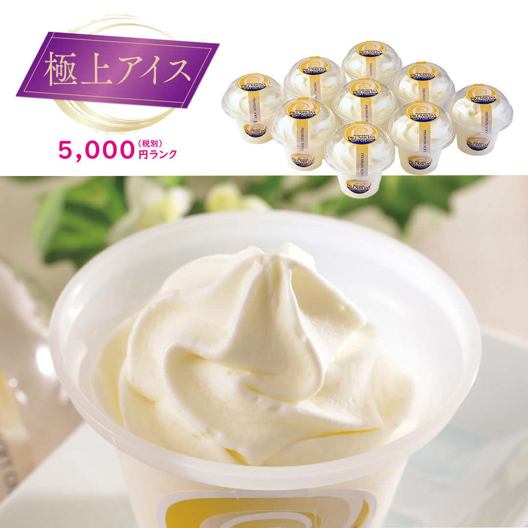 【極上アイス】北海道 十勝橋本牧場プレミアムソフト