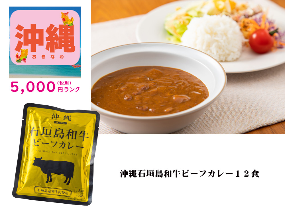 【沖縄】沖縄石垣島和牛ビーフカレー 12食
