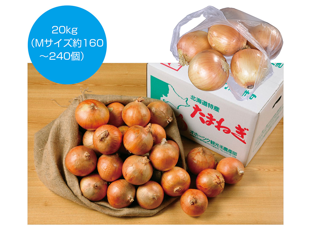 北海道産玉ねぎ詰め放題キット20kg（約20人用）