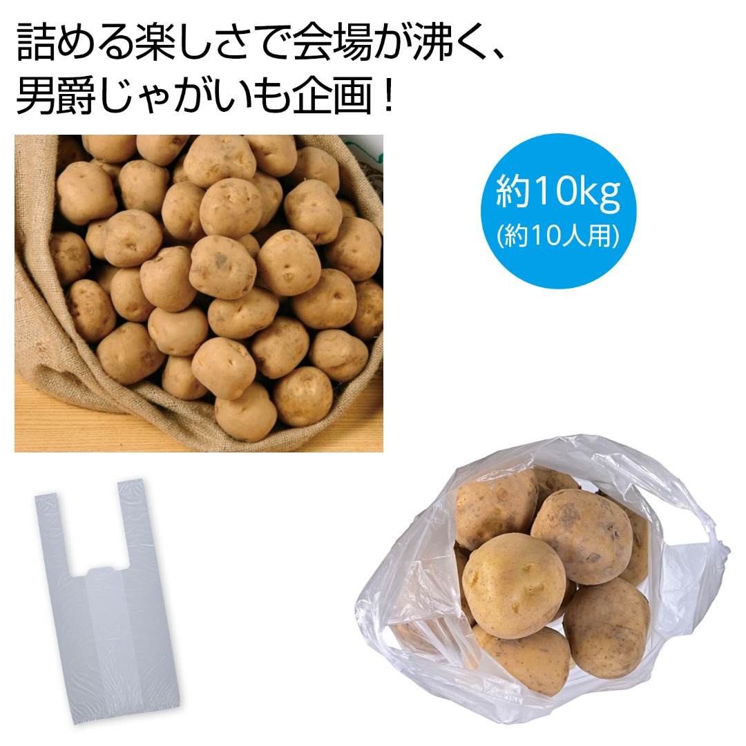 北海道産男爵じゃがいも詰め放題キット 10kg(約10人用)
