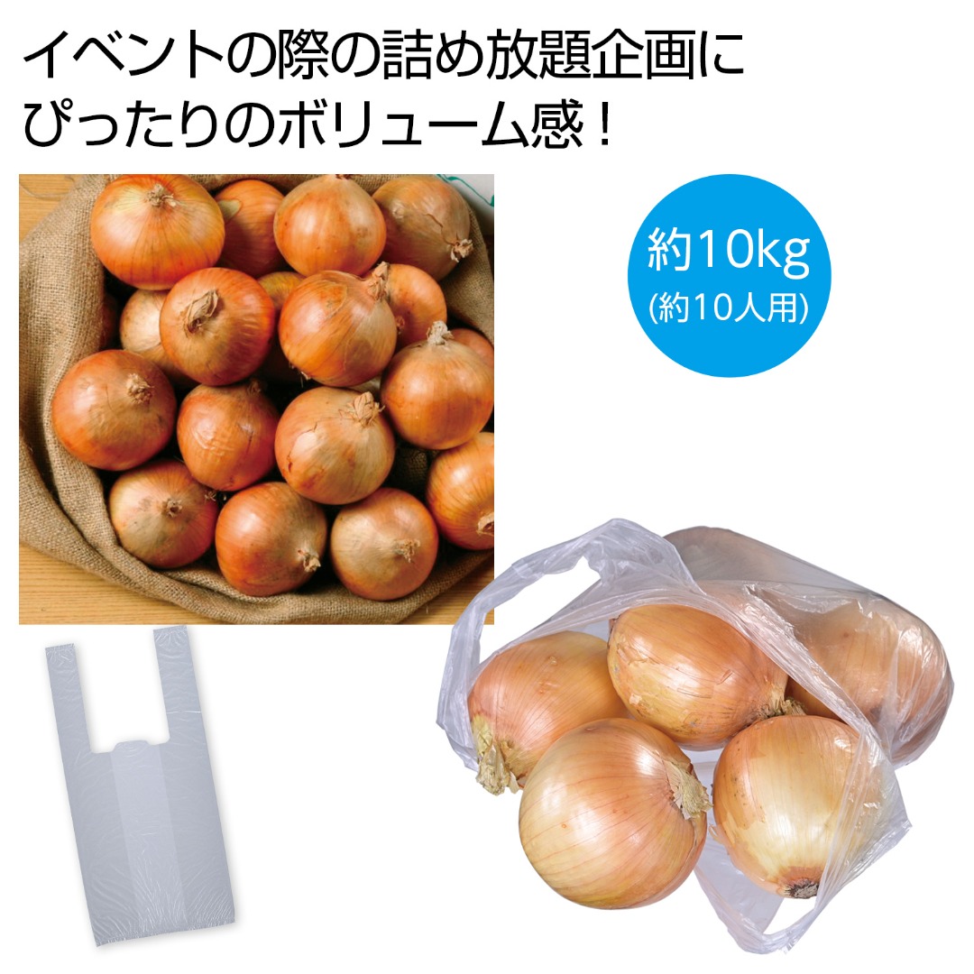 北海道産玉ねぎ詰め放題キット10kg(約10人用)