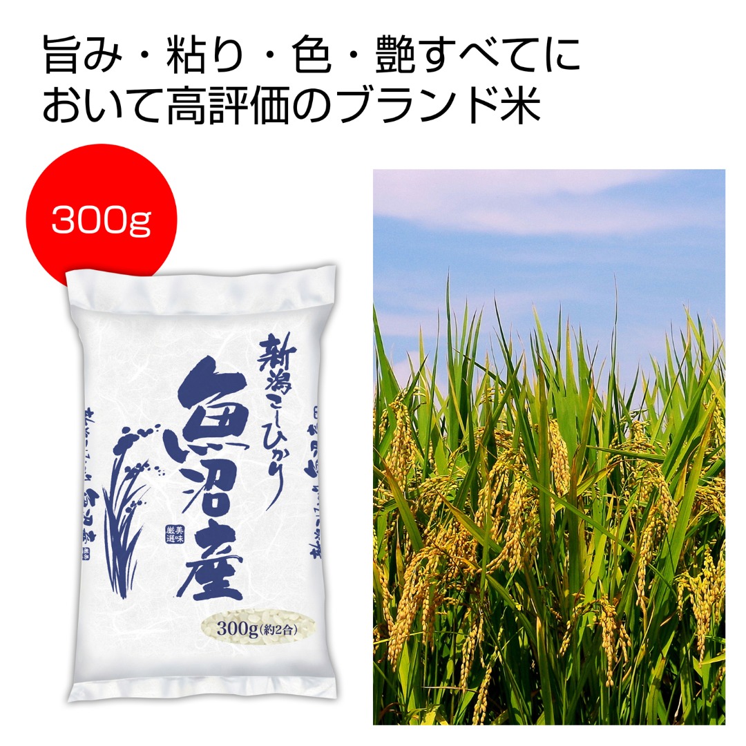 新潟魚沼産こしひかり 300g