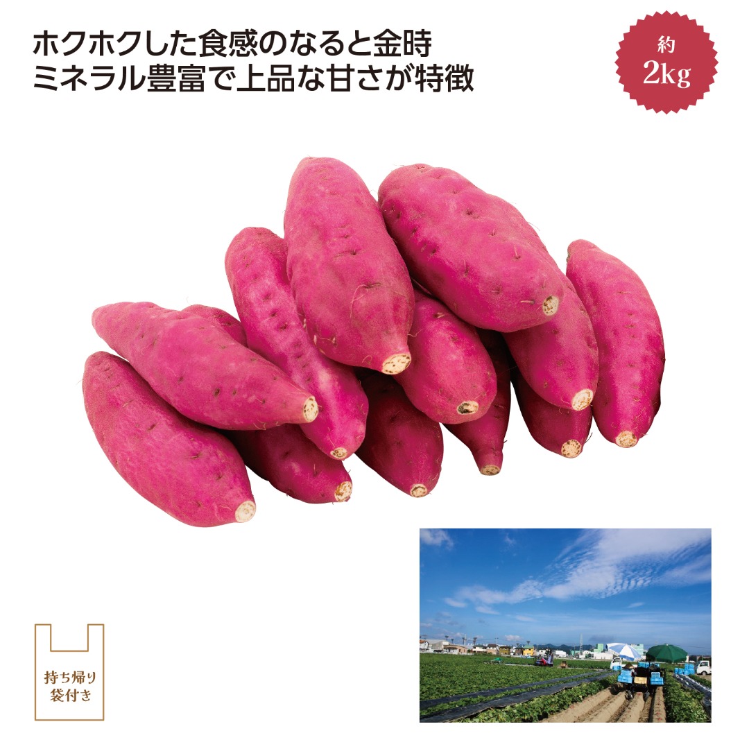 鳴門里浦産｢吉岡さんちのなると金時｣Ｍ2kg