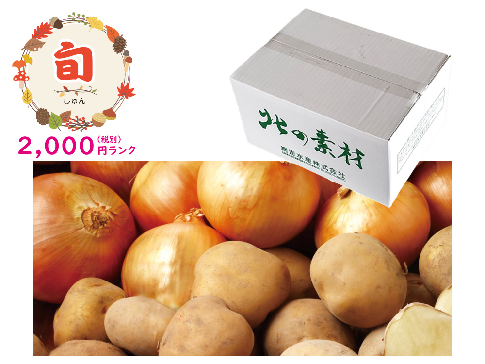 じゃがいも 北海道産じゃがいも 約1.5kg（Mサイズ15～18個）｜499円｜販促メッセ