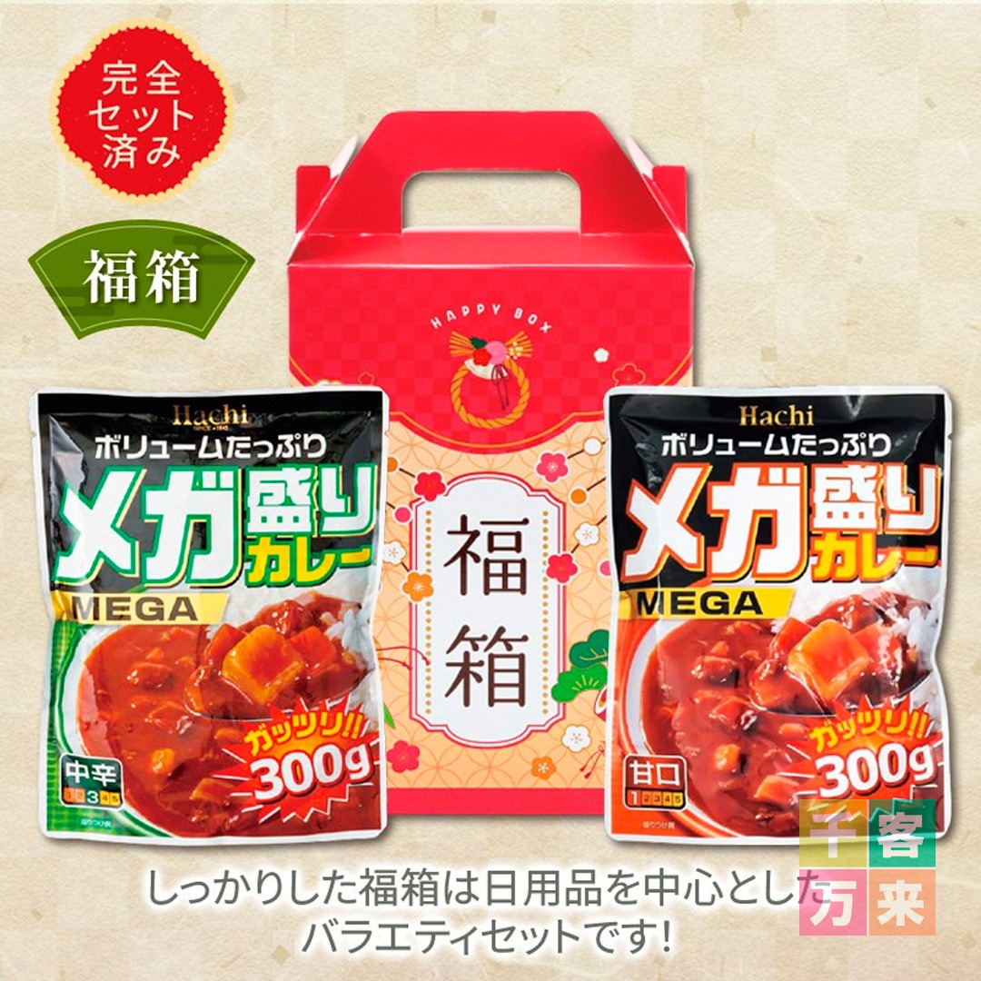 福箱 メガ盛りカレー2点セット