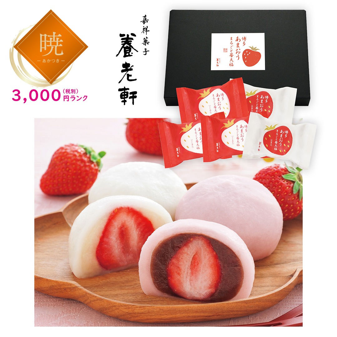 【暁】京都 養老軒 博多あまおう まるごと苺大福