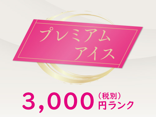 食撰便「プレミアムアイス」